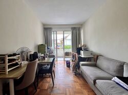Princess Of Wales Park (D10), Semi-Detached #449232251